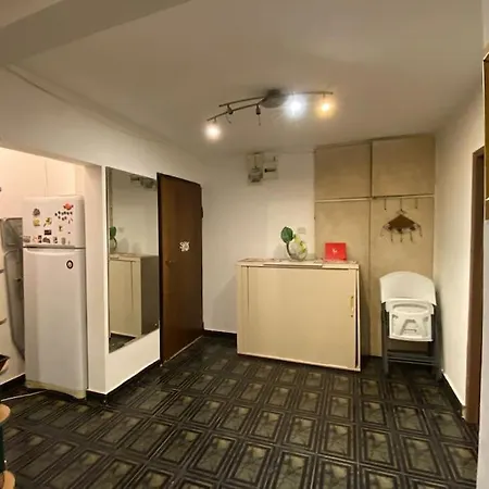 Parklake 4 7 Persoane Apartment Bukarest