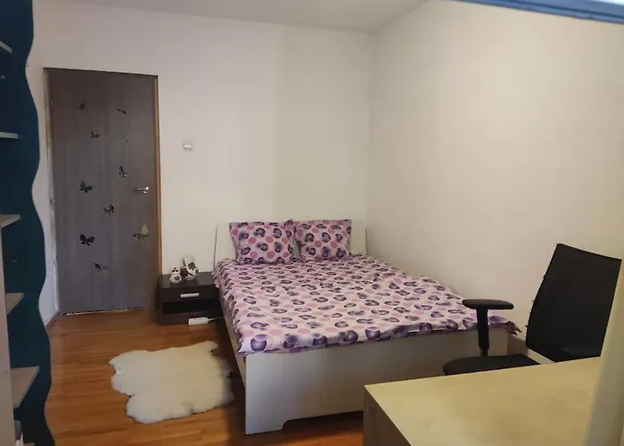 Parklake 4 7 Persoane Bucureşti